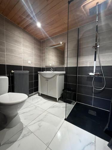une salle de bain avec toilettes, lavabo et douche dans l'établissement La perle medievale, à Sarlat-la-Canéda