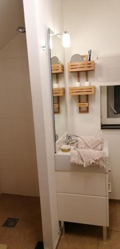 a bathroom with a sink and a mirror at B&B Hof van Vervoering in Voeren