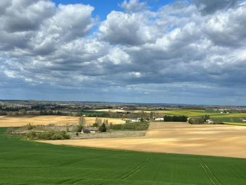 a view of a field with a cloudy sky at Gîtes Les Perouilles - La Roulotte Climatisée avec Jacuzzi de Josépha in Puymiclan