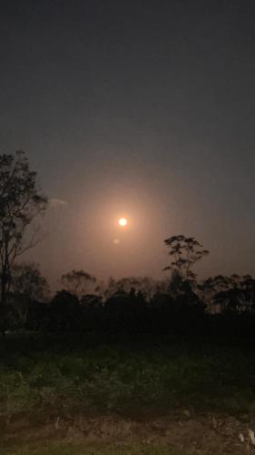 a sunset in a field with the sun in the sky at Apartment-Pura Vida-wi-fi-6 people, AC- parking-river-garden in Fortuna