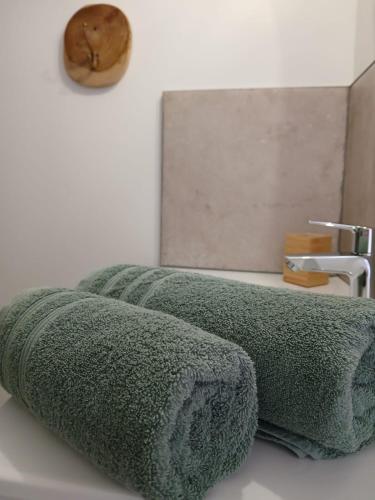 a green towel on a counter next to a sink at Gîte Héloïse in Le Pallet