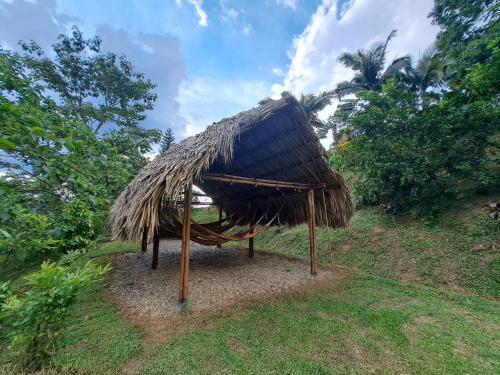a hut with a thatched roof on a hill at Tambo Eco Hotel in La Vega