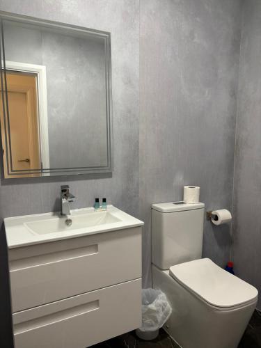a bathroom with a toilet and a sink and a mirror at KCM Urban Retreats in Cobh