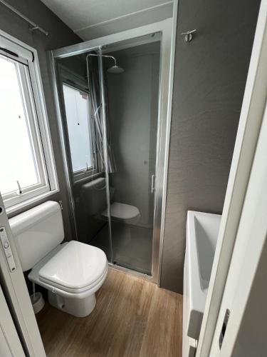 une petite salle de bain avec toilettes et douche dans l'établissement Mobile home luxe au calme - 6 pers - 3 ch - 2 sdb, à Camiers