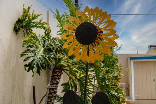 a large yellow sunflower is next to a wall at Seaside Adventure Lodging in Ensenada