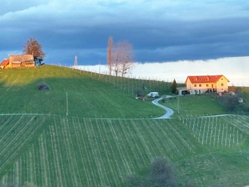 a green hill with a house and a road on it at Glanz und Gloria Weingartenapartment an der Kellerstraße, viele Buschenschänke, sehr ruhige Lage, herrliche Aussicht! in Leutschach