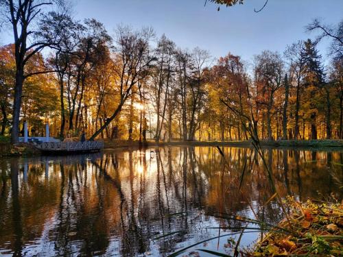 a pond in a park with trees and the sun reflecting on it at Parkowa Sypialnia in Rozalin