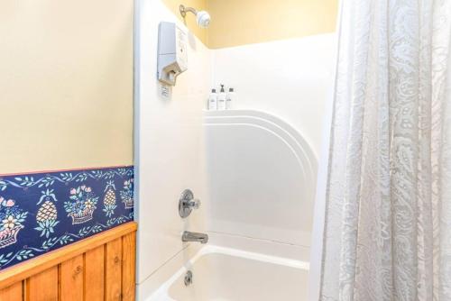 a bathroom with a tub and a shower curtain at Briarstone Inn Unit 4 in Galena