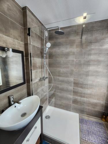 une salle de bain avec un lavabo, un miroir et une douche dans l'établissement Appartement 3 pièces, Krutenau, Parking privé, à Strasbourg