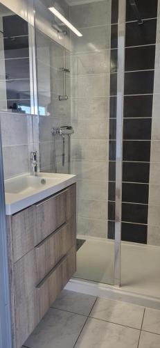 une salle de bain avec un lavabo et une douche dans l'établissement Appartement front de mer et terrasse, à Vias