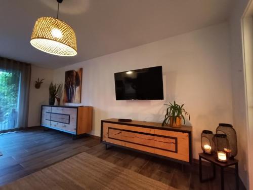 un salon avec une télévision à écran plat sur un mur dans l'établissement Urban Retreat, classé 3 étoiles, à Ebersheim