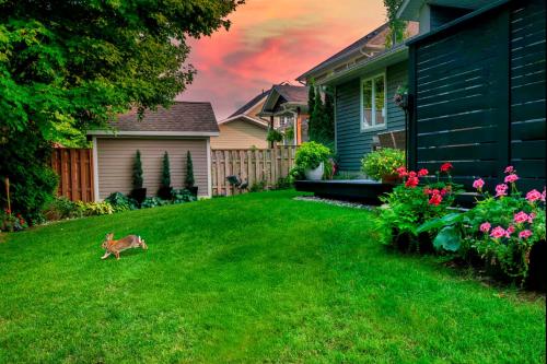 a dog running in the yard of a house at The Studio Southampton in Southampton