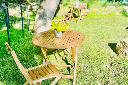 a wooden table and chairs with a potted plant on it at Briarstone Inn Unit 7 in Galena