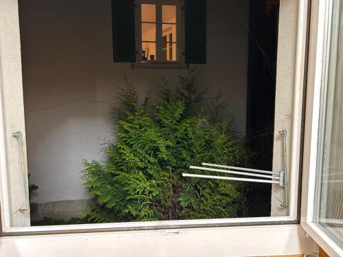 an open window with a plant in front of a building at KARL Apartment in Interlaken