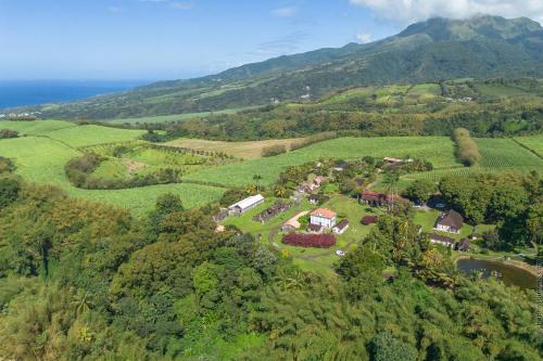 an aerial view of a house on a hill at La Case à Lucie in Saint-Pierre