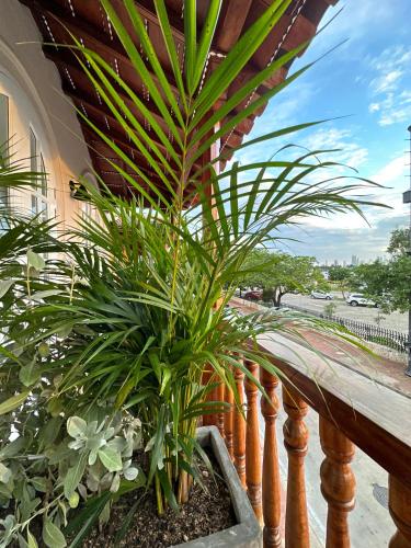 a palm plant in a planter on a balcony at Casa Bugó Arsenal Hotel Boutique en Getsemaní in Cartagena de Indias