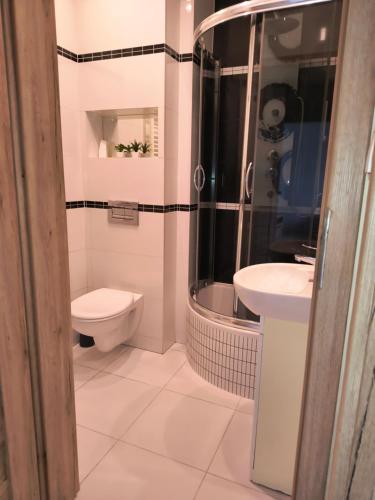 a bathroom with a toilet and a shower and a sink at Apartament ZARA Self Check In in Rzeszów