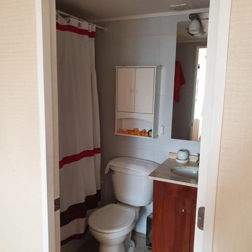 a bathroom with a toilet and a sink and a mirror at Departamento Alameda Talca in Talca