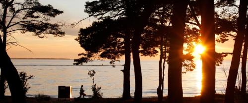 a sunset over a body of water with trees at Magnolia House with Indoor Swimming Pool and Sauna in Tallinn