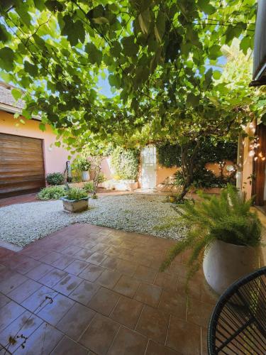 Κήπος έξω από το Casa Arenales