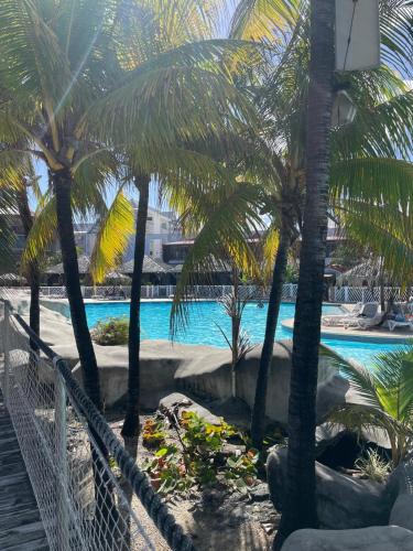 a view of a swimming pool with palm trees at Une vague de plaisir in Saint-François