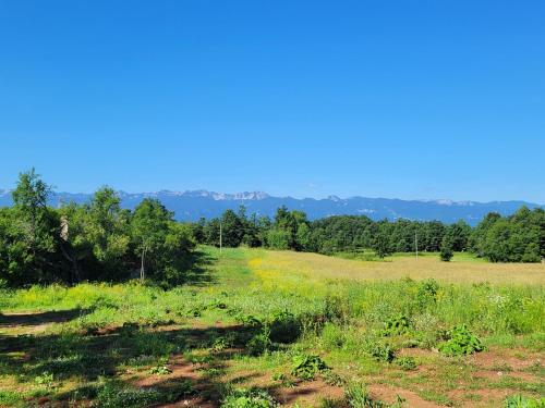 a field of grass with trees in the background at Villa Zora - Oaza mira u srcu Like in Gornja Ploča