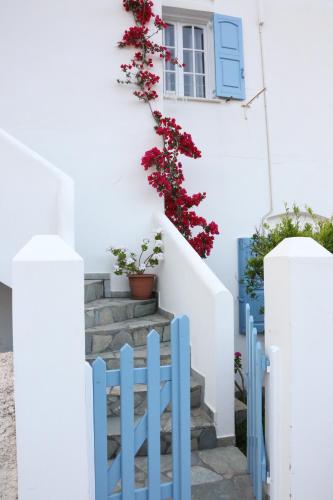 a house with a blue fence and a plant with red flowers at Kini Bay in Kinion