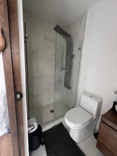 a bathroom with a toilet and a glass shower at Alojamiento Privado en Avenida Principal in Manizales