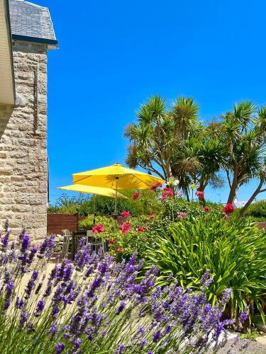 un parapluie jaune dans un jardin avec des fleurs et des palmiers dans l'établissement Villa Kérity-Ki - au coeur du port typique de Kérity, à Penmarcʼh