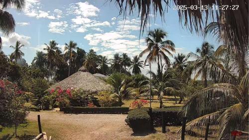 a view of a resort with palm trees and a building at villas ecologicas hacienda vista linda in Cabrera