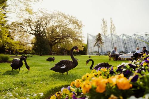 Taman di luar Lake Inn - Ballarat