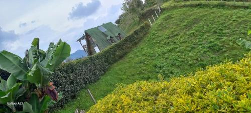 Entre Colinas Lodgeにある庭