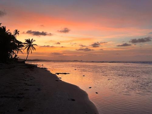 a sunset on a beach with a palm tree at Beachfront Property in Palenque - Paradise! in Palenque