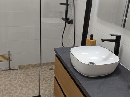 Kúpeľňa v ubytovaní Maison près plage avec jardin, parking et animaux admis - FR-1-540-218