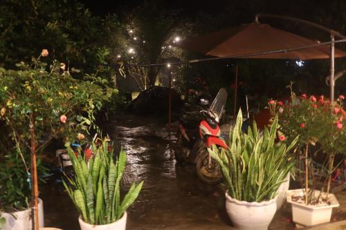 a motorcycle parked under an umbrella next to potted plants at Atash Eco Village Homestay Van Hoi in Quân Khê