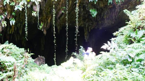 a group of people walking into a cave at Atash Eco Village Homestay Van Hoi in Quân Khê