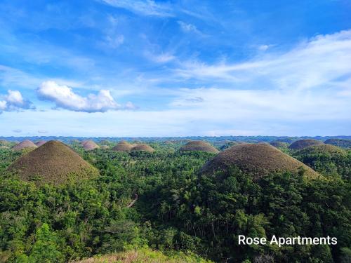 an aerial view of a forest of chocolate hills at Rose Apartments in Anda