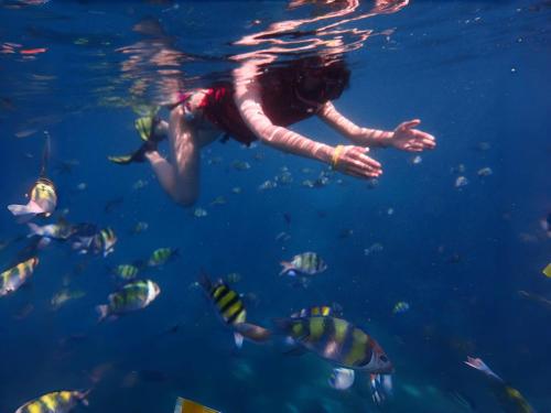 a person swimming in the water with fish at BJ & Radisson Sea View Hotel in Ko Yao Yai