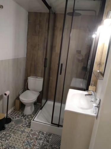 une salle de bain avec toilettes, douche et lavabo dans l'établissement Résidence la Foret au plus près des pistes. 36m², à Besse-et-Saint-Anastaise