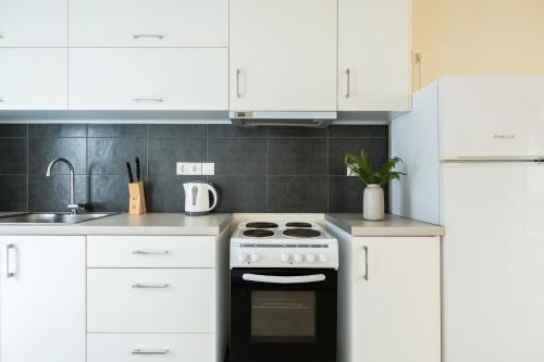 Elysee apartment 1