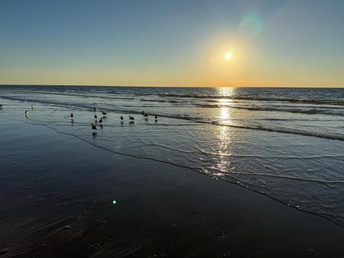 a group of people walking on the beach at sunset at Seascape 2202 The Seashell Pearl Beachfront Condo Gulf Views Pool Hottubs Netflx in Galveston