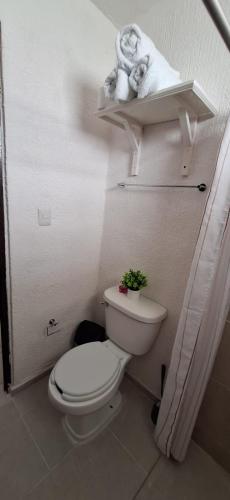 a bathroom with a toilet and a plant on a shelf at Casa en Puesta del Sol/Excelente Ubicación/2 Hab/Wifi/Netflix/Super comoda in Mérida
