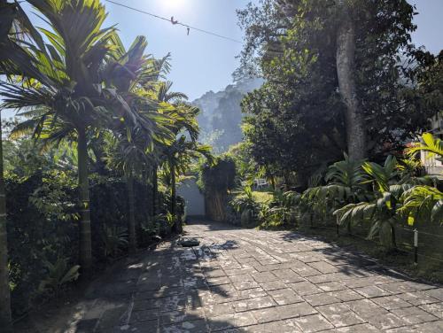 a stone road with palm trees on the side at Villa 98 in Kandy