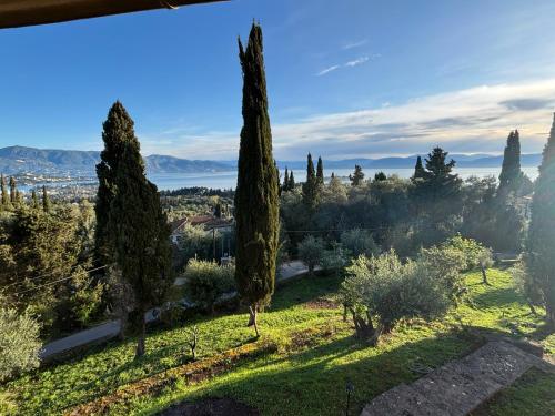 a view of a garden with cypress trees at Athinas House in Corfu Town