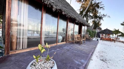 a house with a potted plant sitting on a porch at Tikipalmbeachhotel in Paje
