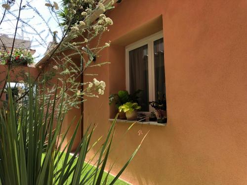 Hotel Villa Rose photo 94