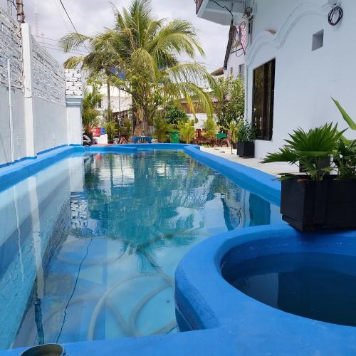 Billede fra billedgalleriet på Villa Tropica i Kampot