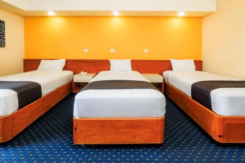 Llit o llits en una habitació de OYO Hotel Hidalgo