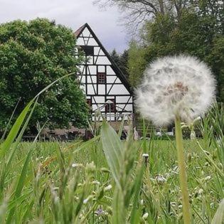 Taman di luar Kulturdenkmal Appenhof