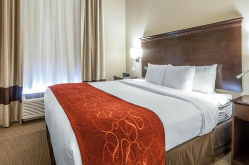 a bedroom with a large bed in a hotel room at Comfort Suites Marietta-Parkersburg in Marietta